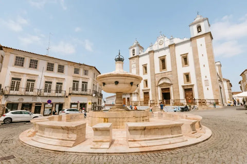 Tour en furgoneta EXCLUSIVO de DÍA COMPLETO - Évora y Monsaraz con vino