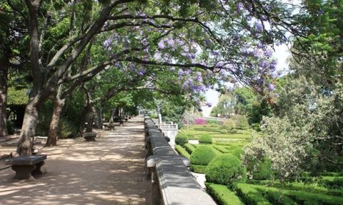 Visita compartida con el Jardín Botánico de Ajuda 31-05-2026