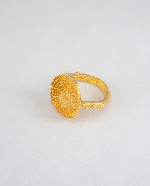 Gold Silver RIng