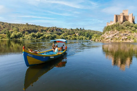 Tour de día completo en furgoneta - Caballeros Templarios: Castillos de Tomar y Almourol