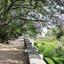 Visita compartida con el Jardín Botánico de Ajuda 31-05-2026