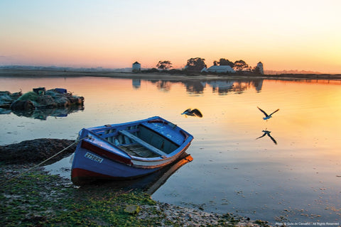 Fotografía barco en el río Tajo