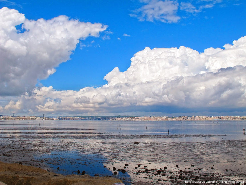 Low Tide in Tagus River Photography